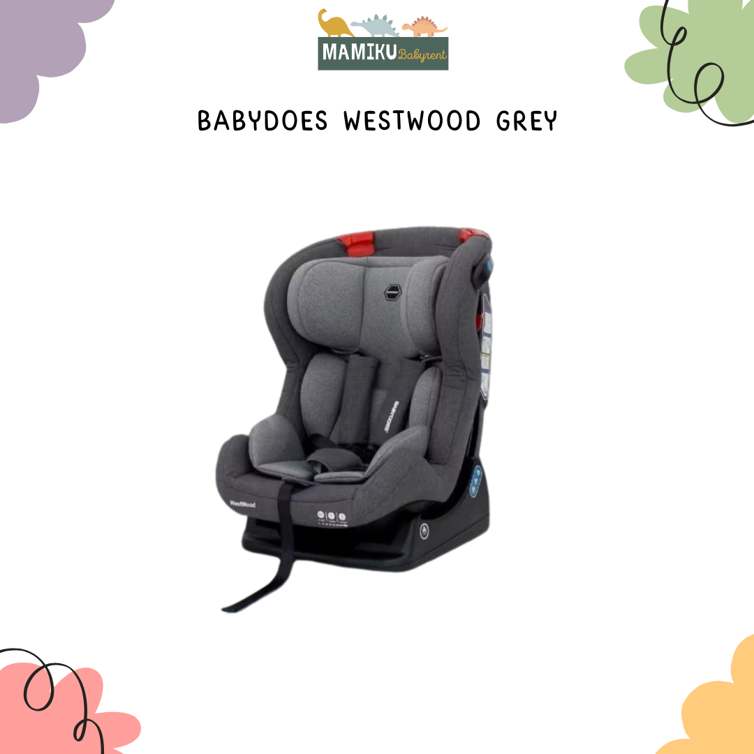 BABYDOES WESTWOOD GREY CARSEAT
